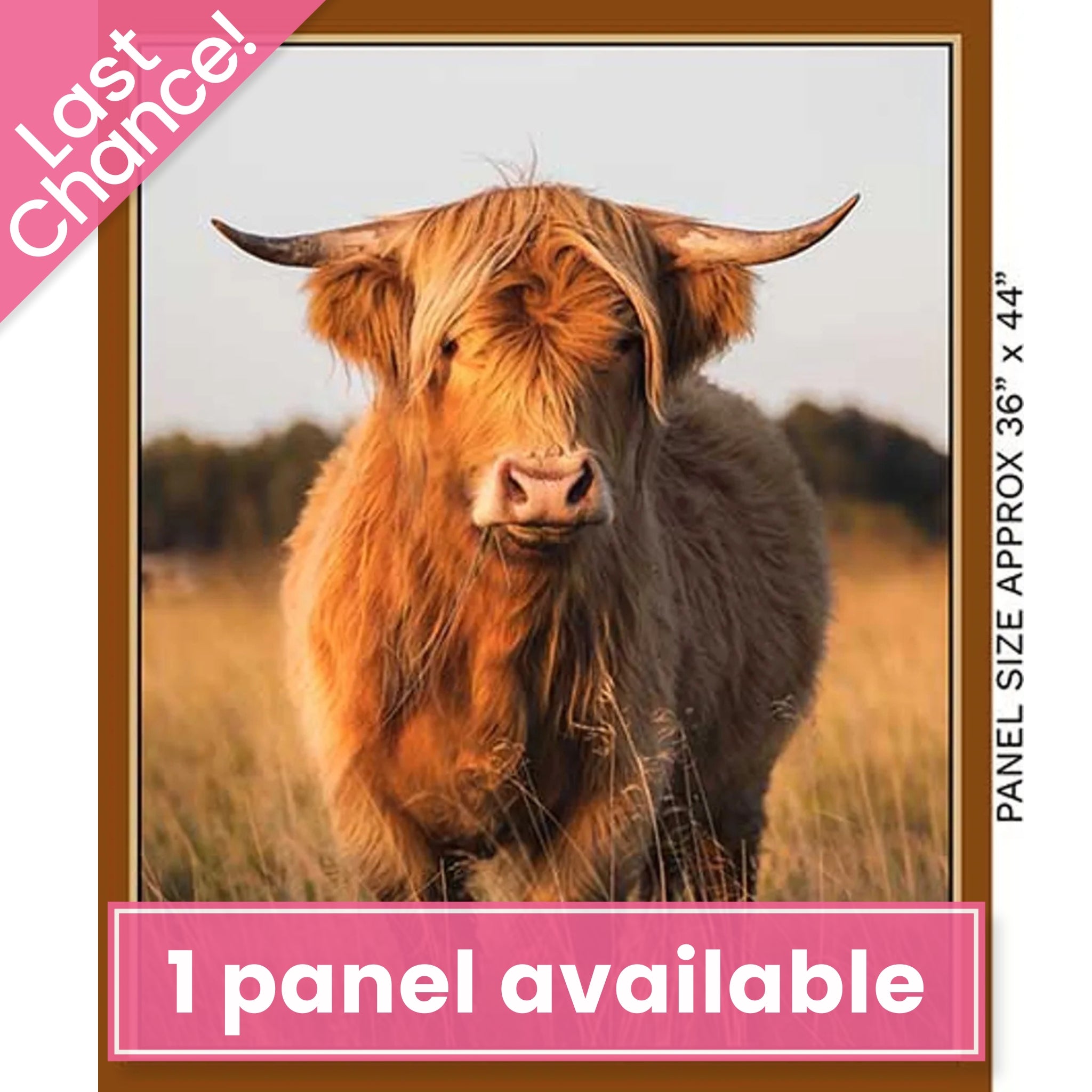 Homestead Bovine Highland Cow - KK Fabrics - Three Wishes Patchwork Fabric