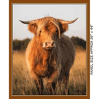 Homestead Bovine Highland Cow - KK Fabrics - Three Wishes Patchwork Fabric