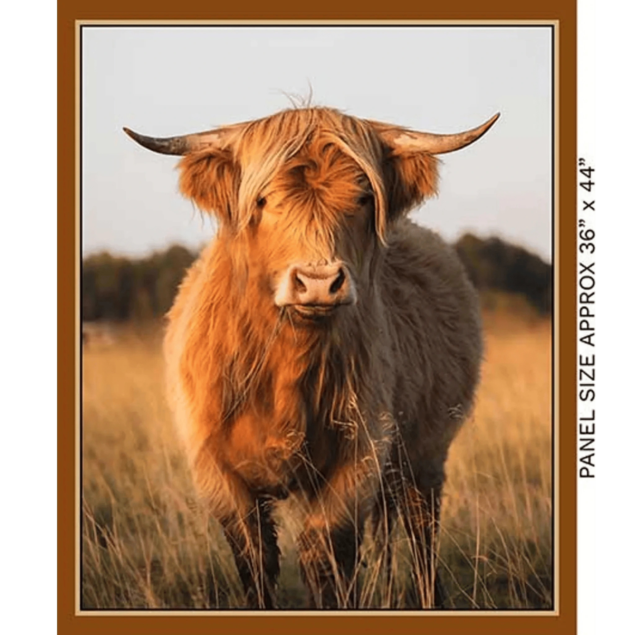 Homestead Bovine Highland Cow - KK Fabrics - Three Wishes Patchwork Fabric