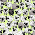 Lewe the Ewe packed flock stacked sheep white grey black lime green novelty kids quilting fabric children's quilts baby quilts nursery gifts