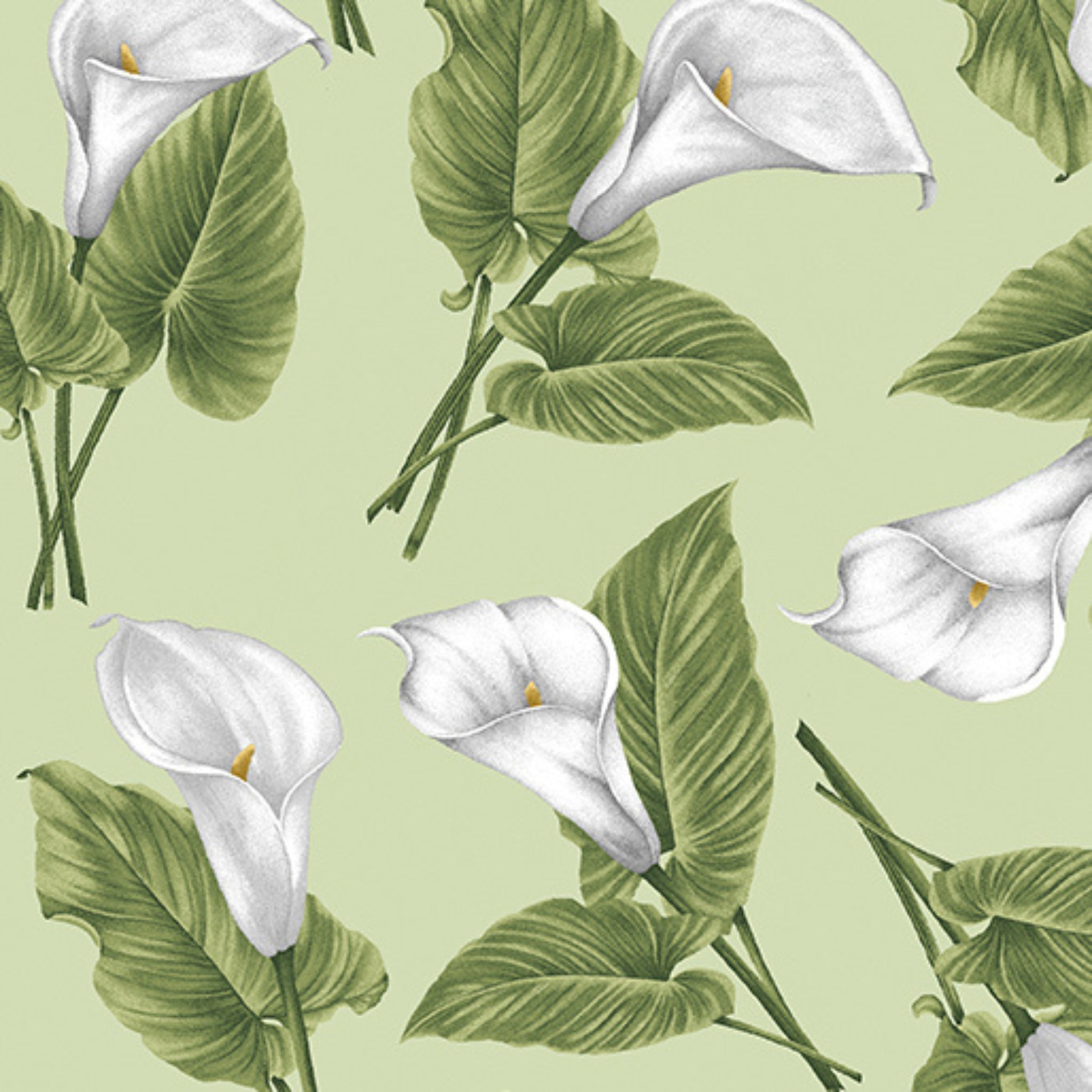 Sage fabric with large, realistic white calla lilies and green leaves tossed throughout