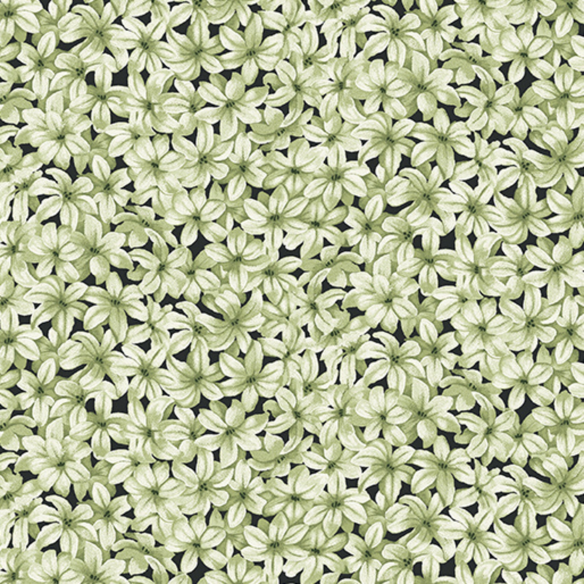 Tonal sage green fabric with a dense, all-over pattern of small hyacinth flowers on black