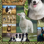 Border collie kelpie farm dog sheep panel realistic working dogs fabric for farm animal quilts and farmer gifts