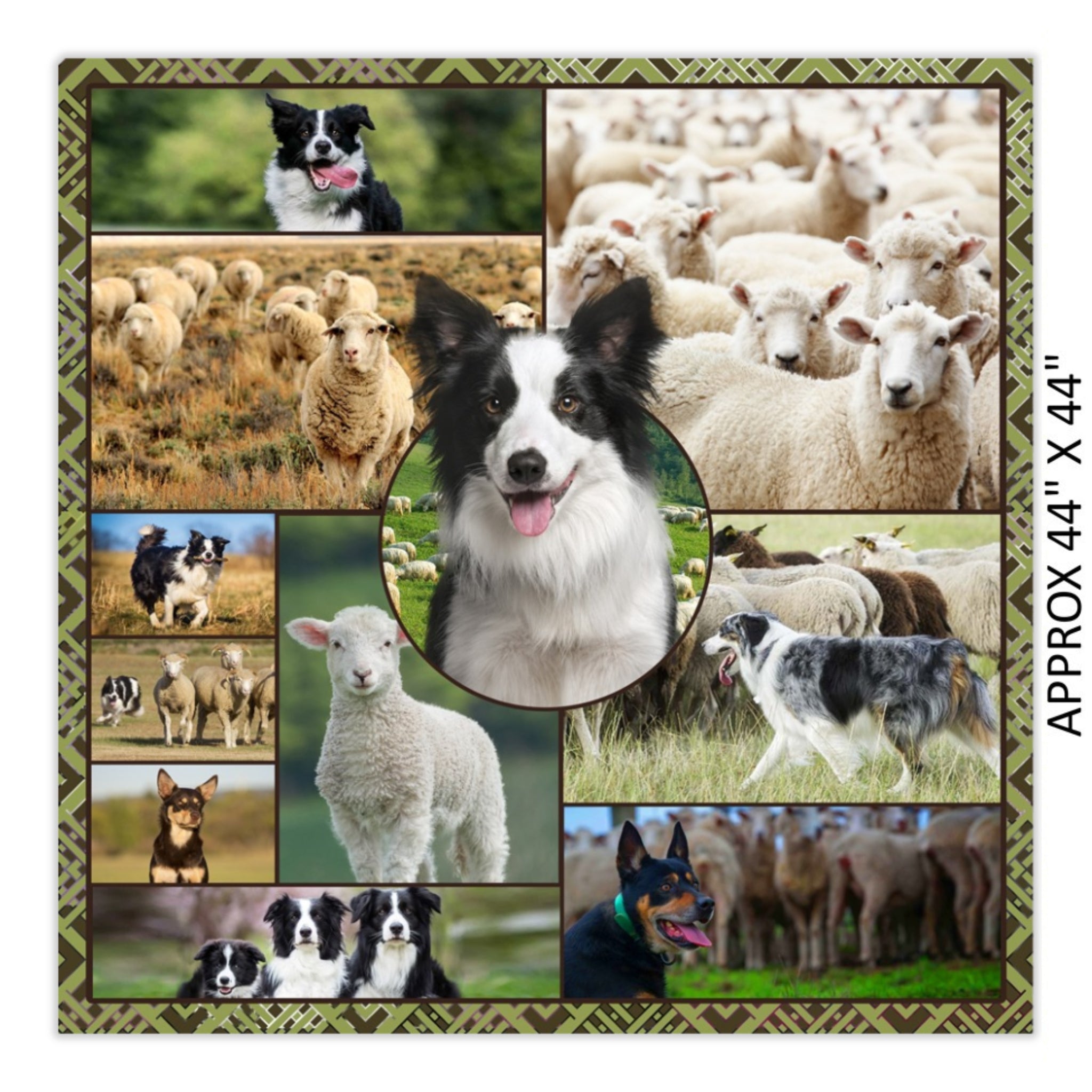 Border collie kelpie farm dog sheep panel realistic working dogs fabric for farm animal quilts and farmer gifts