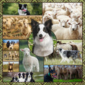 Border collie kelpie farm dog sheep panel realistic working dogs fabric for farm animal quilts and farmer gifts