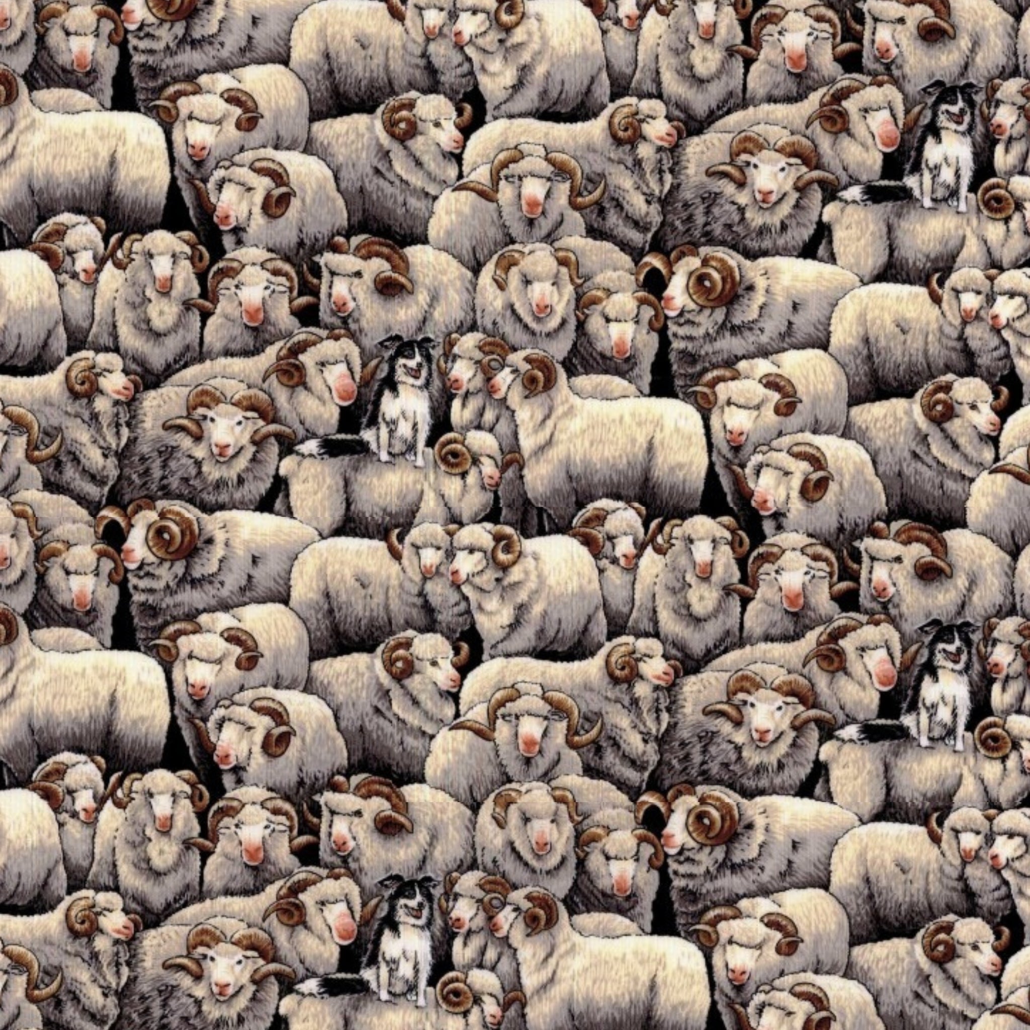 Realistic merino sheep border collie packed grey fabric for farm animal quilts and farmer gifts patchwork projects