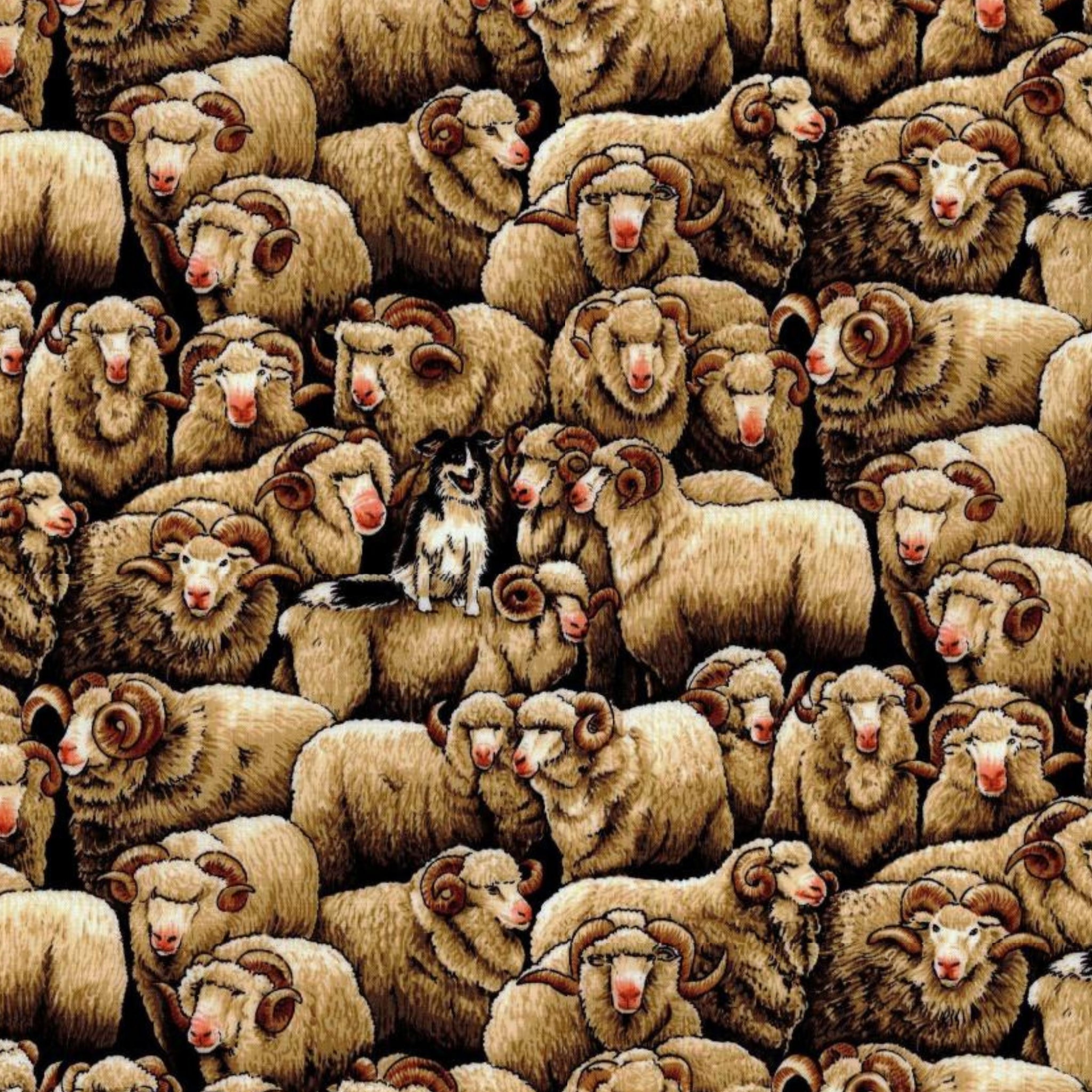 Realistic merino sheep border collie packed natural beige fabric for farm animal quilts and farmer gifts patchwork projects