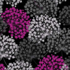 Wildflower blooms magenta grey black pearlescent fabric for elegant quilts and sophisticated patchwork projects