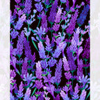 Packed lavender sprigs violet purple lilac periwinkle blue dark green stems black background digital print fabric for garden quilts table runners lavender lover gifts and zip pouches