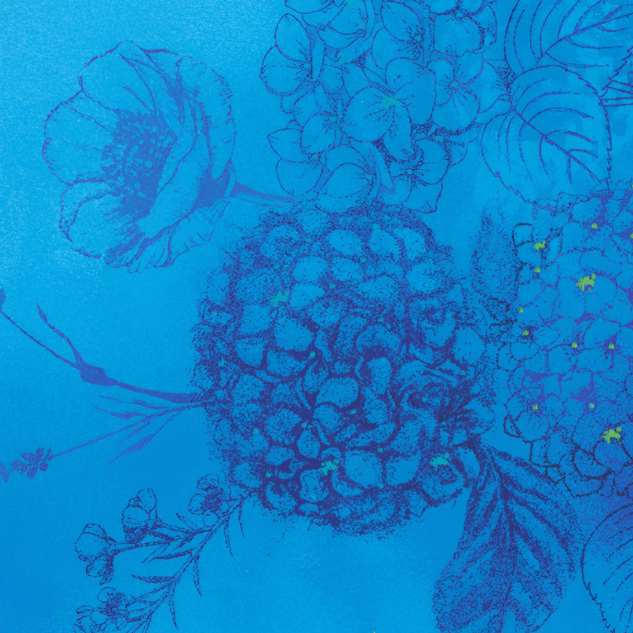 Tonal hydrangea heads leaf sketches navy cobalt outline luminous watercolour aqua turquoise background digital print fabric for garden quilts cushions zip pouches and blue blender patchwork projects