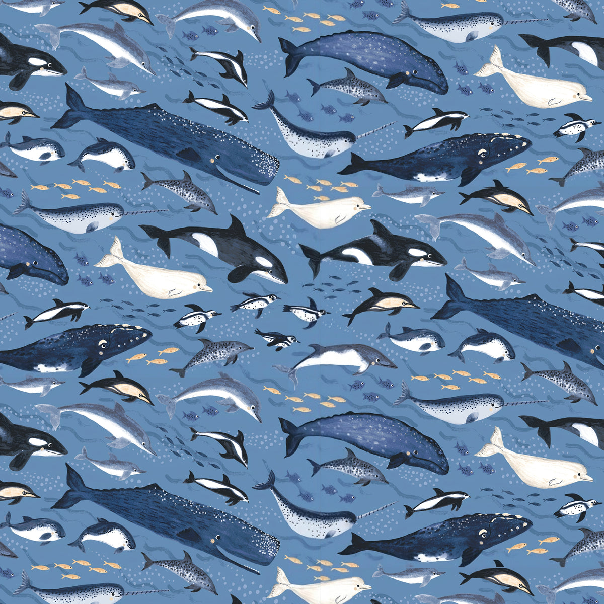Orcas blue whales narwhals belugas dolphins penguins denim blue novelty quilting fabric boys ocean whale lovers marine gifts