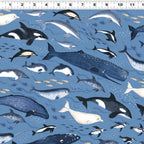 Orcas blue whales narwhals belugas dolphins penguins denim blue novelty quilting fabric boys ocean whale lovers marine gifts