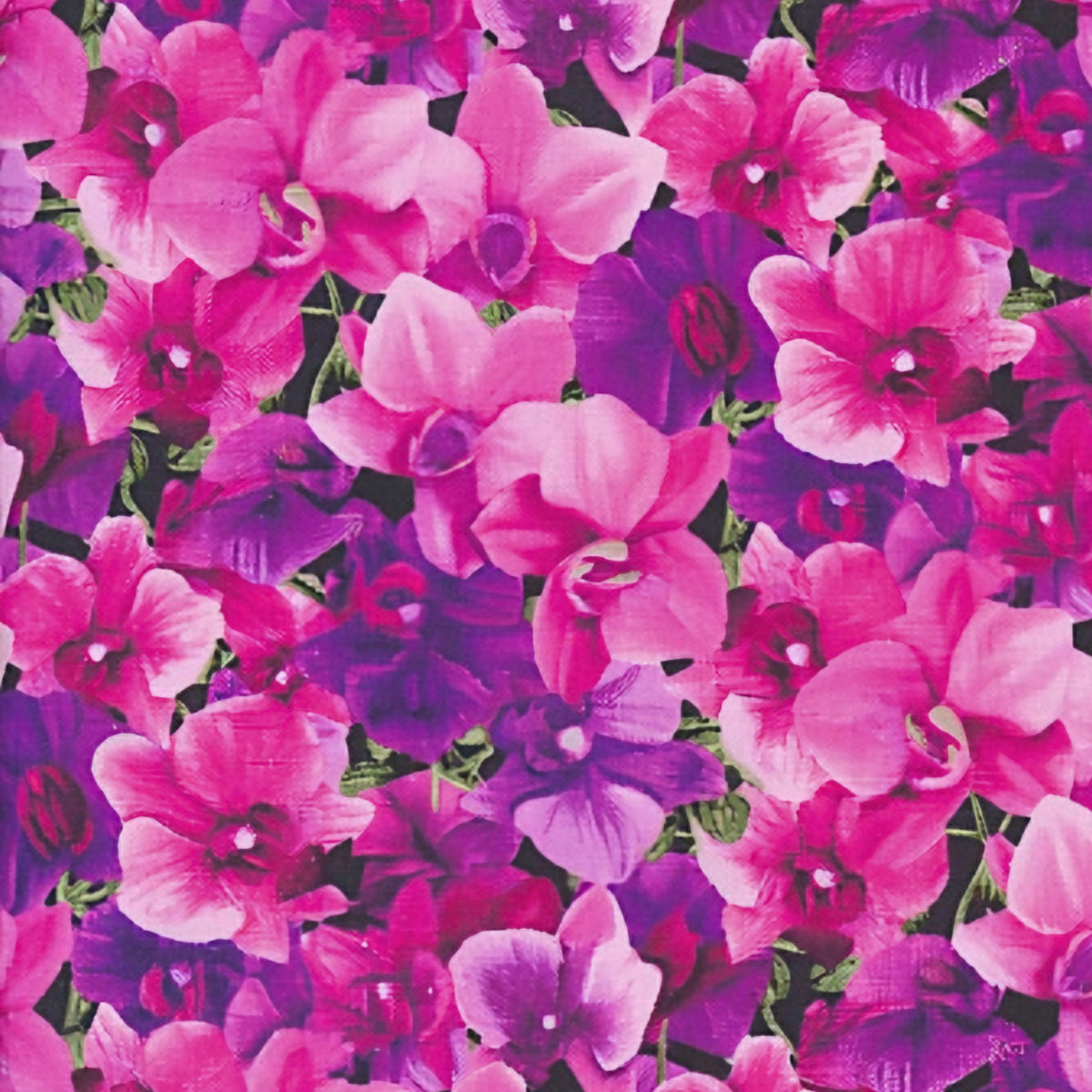 Packed orchid blooms fuchsia hot pink purple quilting cotton realistic floral fabric for quilts cushion covers tote bags and bold sewing projects