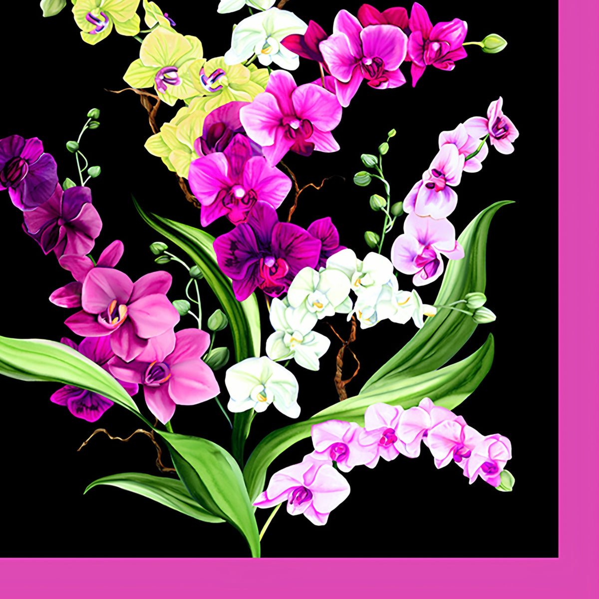 Orchid Fancy panel black quilting cotton realistic orchid bouquet in fuchsia pink white lilac purple with fuchsia border 2 blocks per panel for cushion covers wall hangings and quilts
