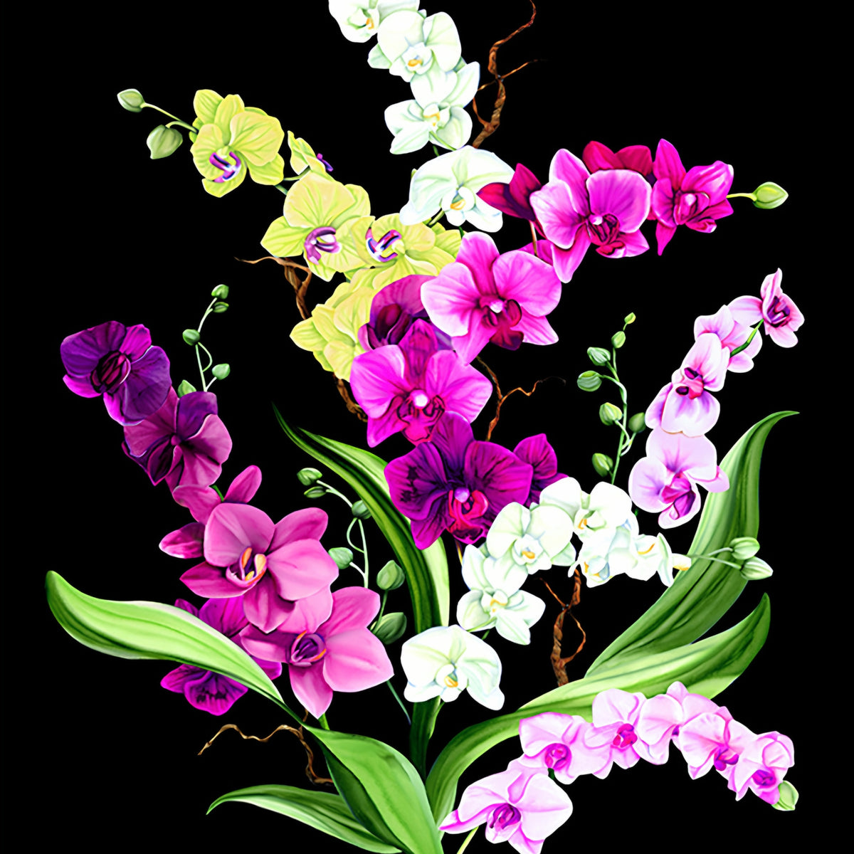 Close-up realistic orchid blooms fuchsia hot pink white lilac on black quilting cotton panel Cedar West Clothworks