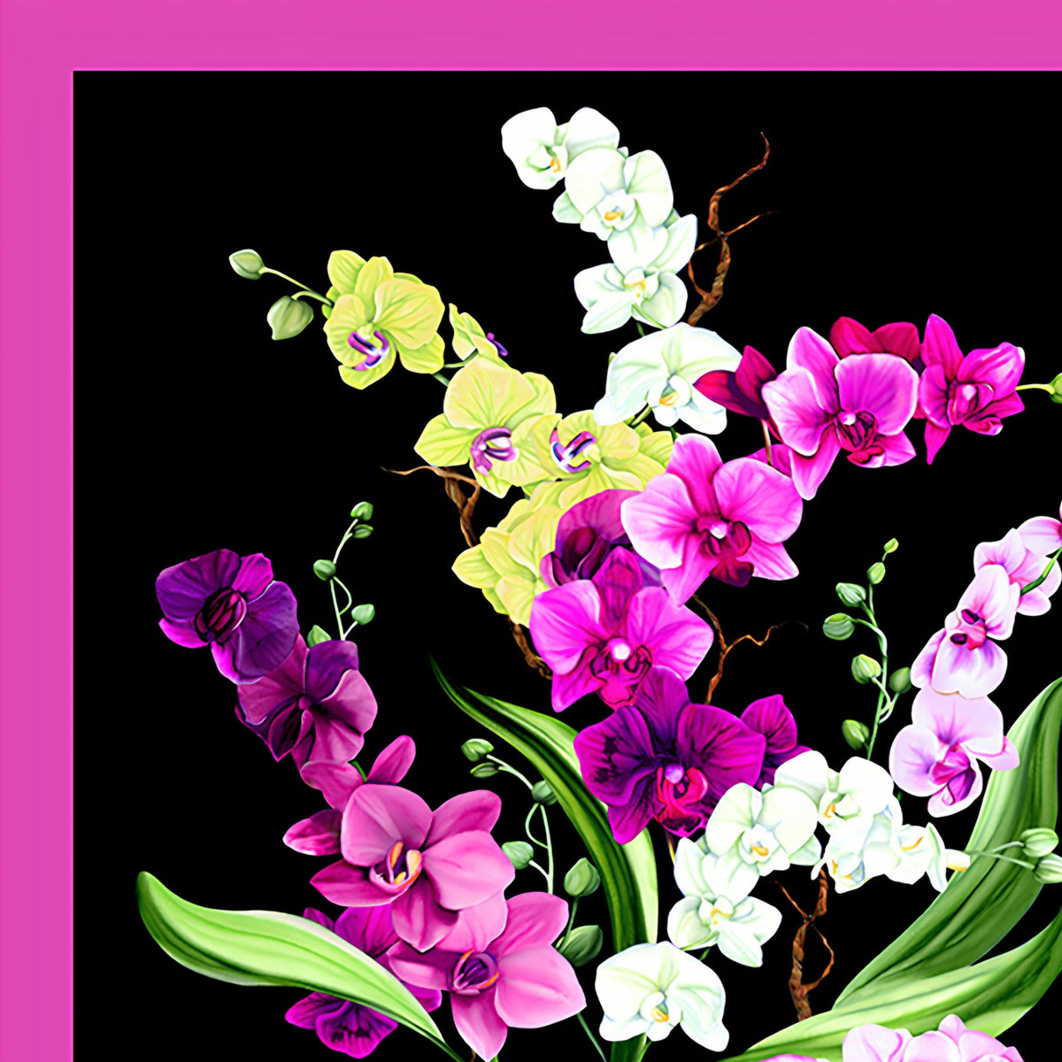 Orchid Fancy panel black quilting cotton realistic orchid bouquet in fuchsia pink white lilac purple with fuchsia border 2 blocks per panel for cushion covers wall hangings and quilts