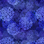 Packed clusters of small five-petal flowers cobalt periwinkle navy blue floral blender quilting fabric patchwork sewing projects