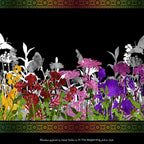 Jewel-toned wildflower border stripe purple red orange pink yellow flowers butterfly dragonfly silhouettes black background quilting fabric patchwork sewing projects