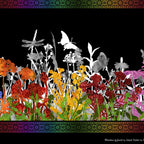 Jewel-toned wildflower border stripe purple red orange pink yellow flowers butterfly dragonfly silhouettes black background quilting fabric patchwork sewing projects