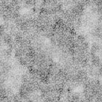 Densely packed swirling scrolls mid-grey charcoal silver grey neutral blender quilting fabric patchwork sewing projects