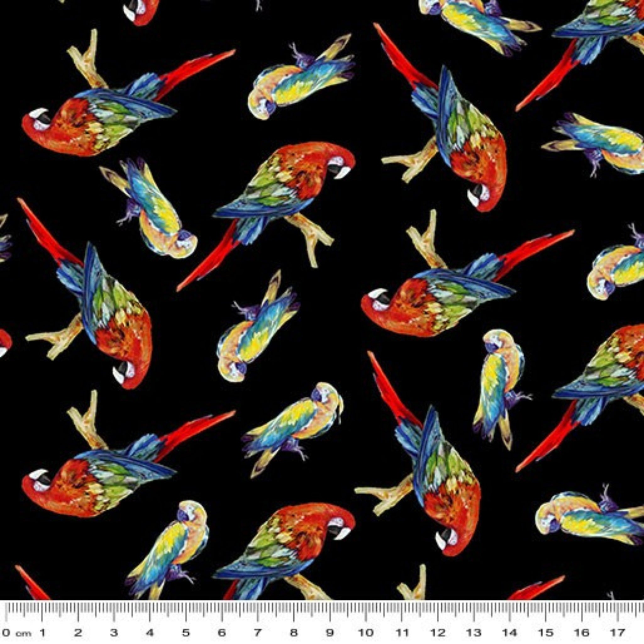 Tossed parrots black background vibrant red yellow blue green tropical novelty quilting fabric
