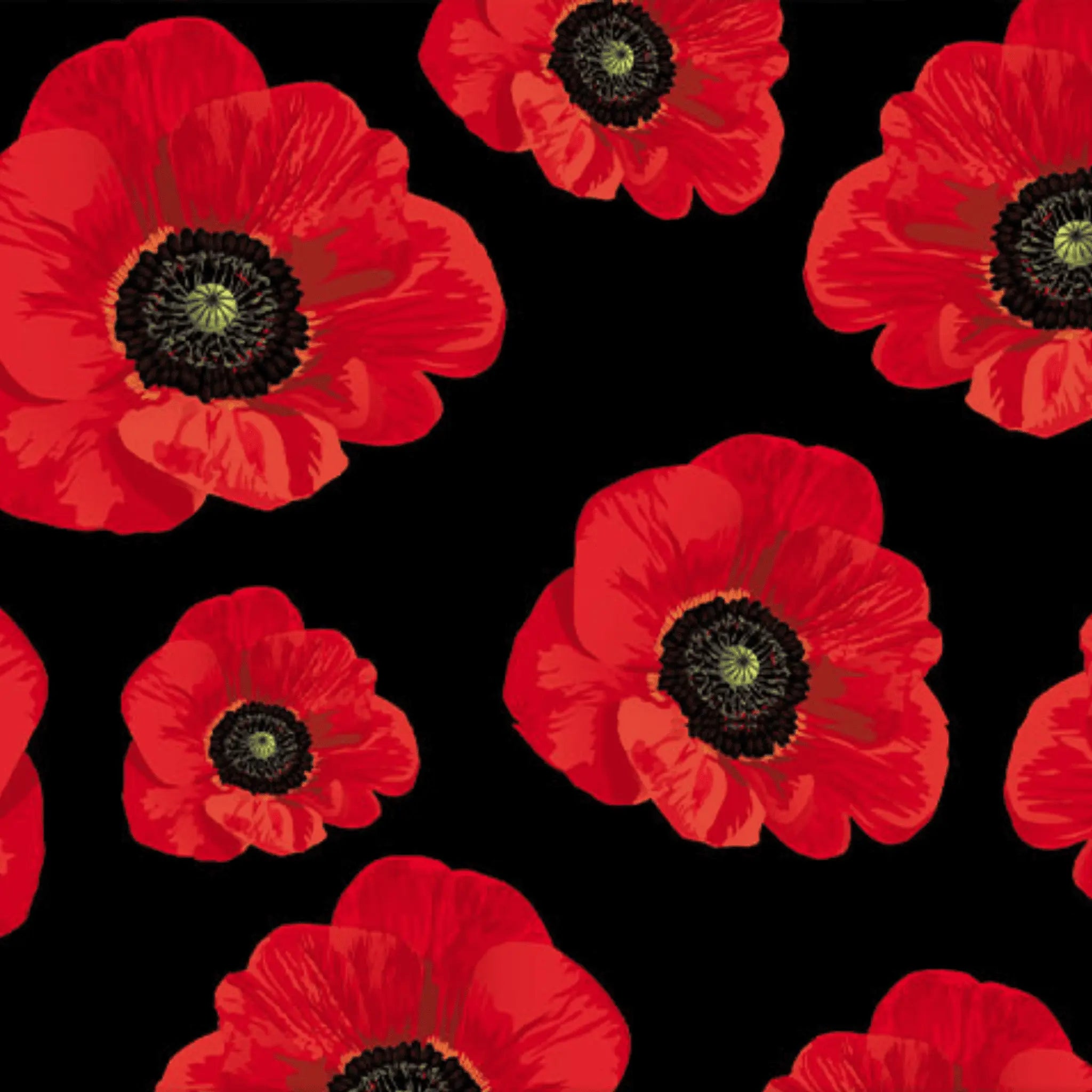 Remembering ANZAC Large Poppies on Black - KK Fabrics - Three Wishes Patchwork Fabric