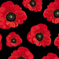 Large red poppies black background fabric for ANZAC memorial quilts remembrance banners patchwork sewing projects