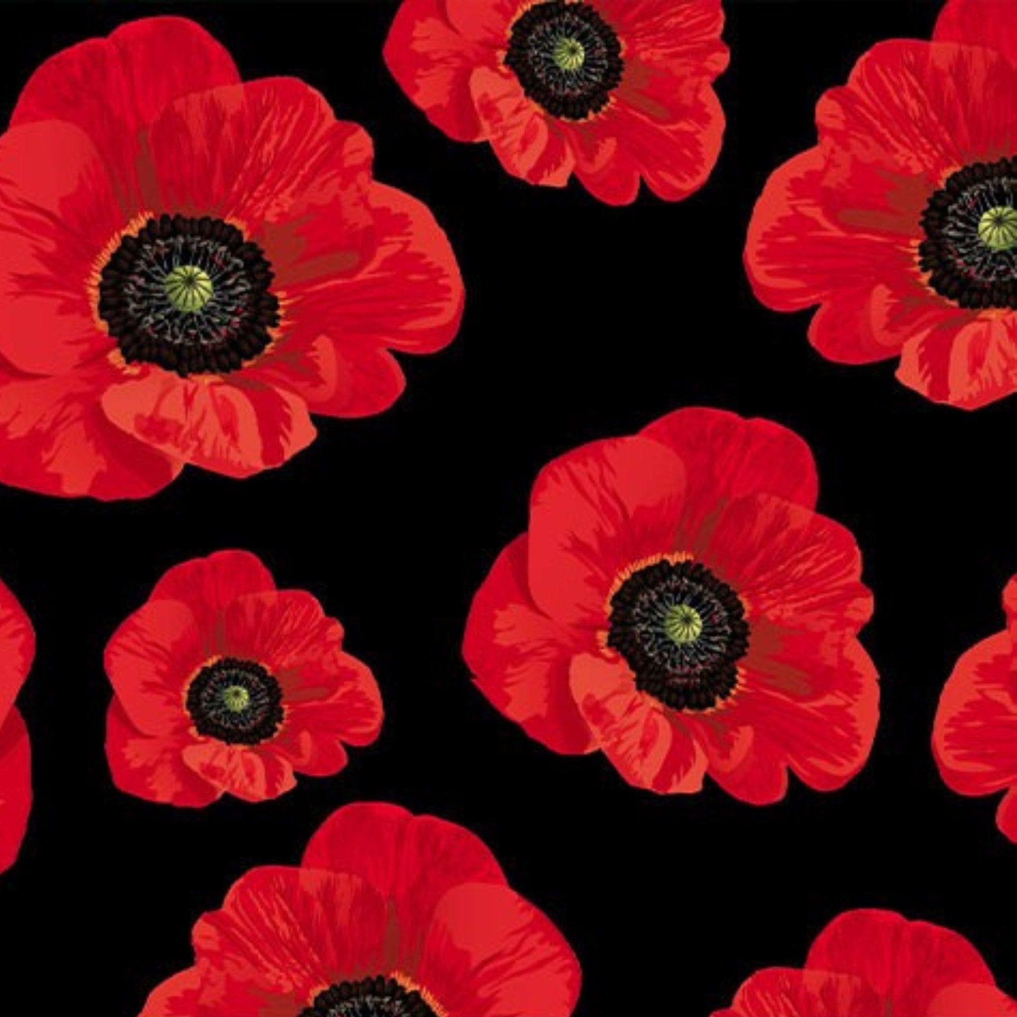 Large red poppies black background fabric for ANZAC memorial quilts remembrance banners patchwork sewing projects