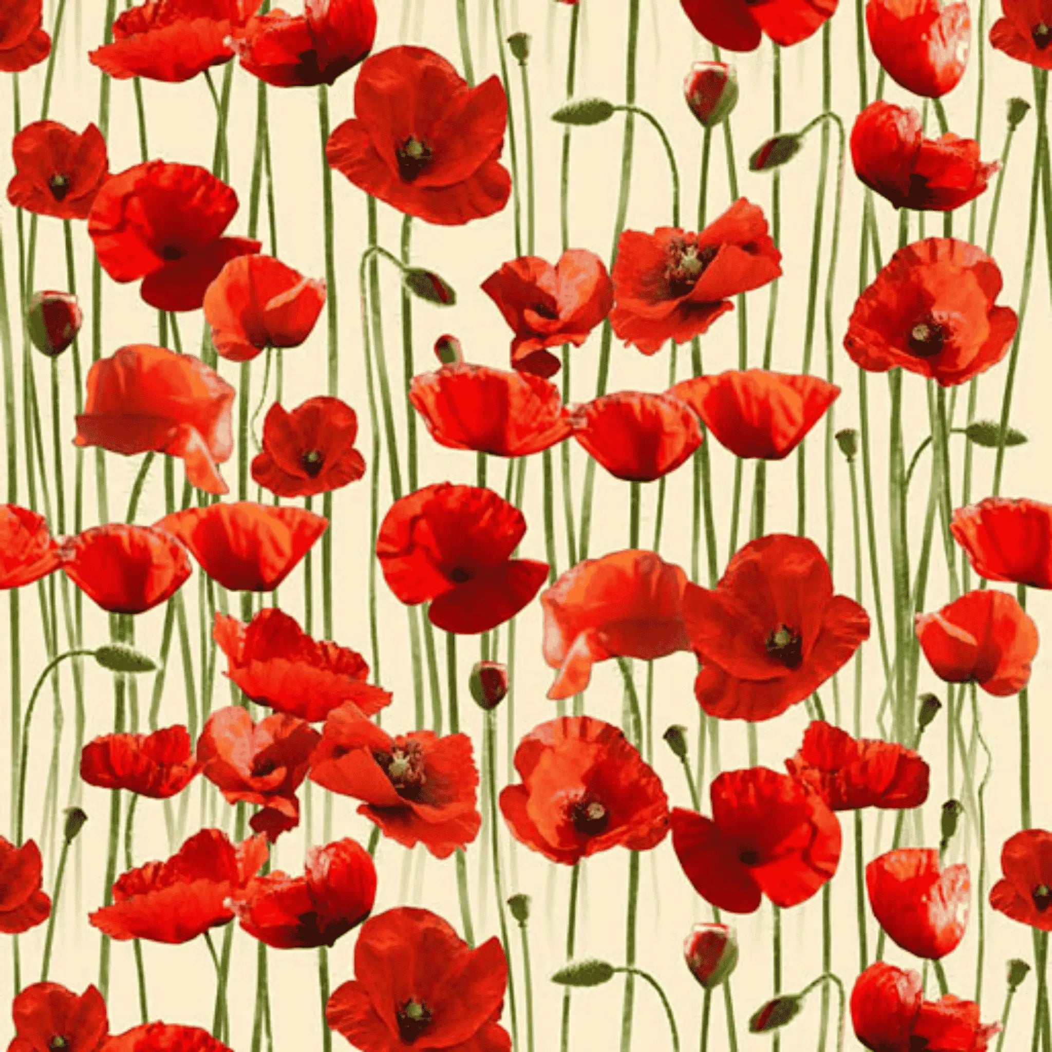 Remembering ANZAC Poppies on Beige Allover - KK Fabrics - Three Wishes Patchwork Fabric
