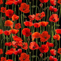 Red poppies stems buds black background fabric for ANZAC memorial quilts remembrance cushions floral patchwork sewing projects