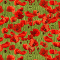Remembering ANZAC Poppies on Green Allover - KK Fabrics - Three Wishes Patchwork Fabric