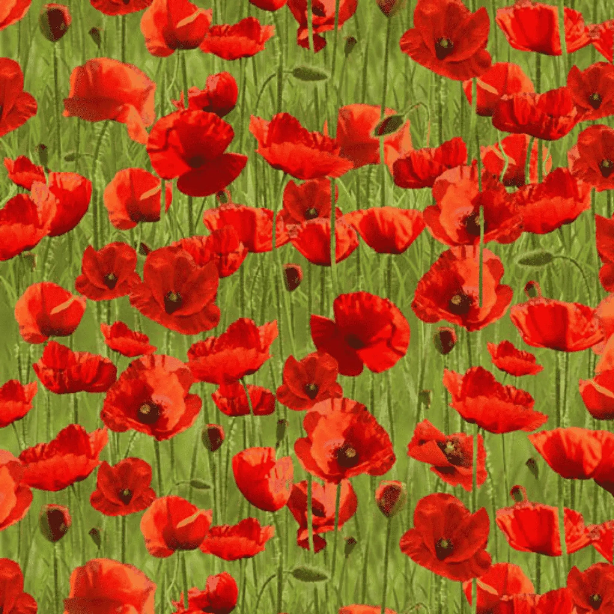 Remembering ANZAC Poppies on Green Allover - KK Fabrics - Three Wishes Patchwork Fabric