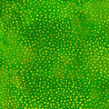 Digital print scattered dots lime green golden yellow emerald green blender fabric for jungle quilts and modern patchwork projects