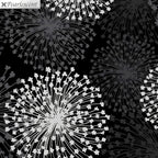 Pearlescent silver dandelion seed heads grey shadows black background fabric for elegant quilts cushion covers tote bags jacket linings and vests
