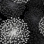 Pearlescent silver dandelion seed heads grey shadows black background fabric for elegant quilts cushion covers tote bags jacket linings and vests