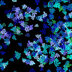 Confetti leaf sprig scatter turquoise blue green lilac black blender fabric for quilt backgrounds sashing patchwork projects