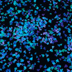 Confetti leaf sprig scatter turquoise blue green lilac black blender fabric for quilt backgrounds sashing patchwork projects