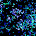 Confetti leaf sprig scatter turquoise blue green lilac black blender fabric for quilt backgrounds sashing patchwork projects