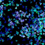 Confetti leaf sprig scatter turquoise blue green lilac black blender fabric for quilt backgrounds sashing patchwork projects
