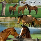 Realistic chestnut buckskin horses summer farm barn pond fence fabric panel grey timber border horse lover quilts wall hangings gifts
