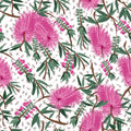 Pink bottlebrush blossoms eucalyptus leaves gum nuts white fabric for Australian-themed quilts tote bags and cushions