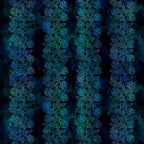 Intricate teal blue floral vine border stripe deep navy background digitally printed quilting fabric Jason Yenter In The Beginning Fabrics