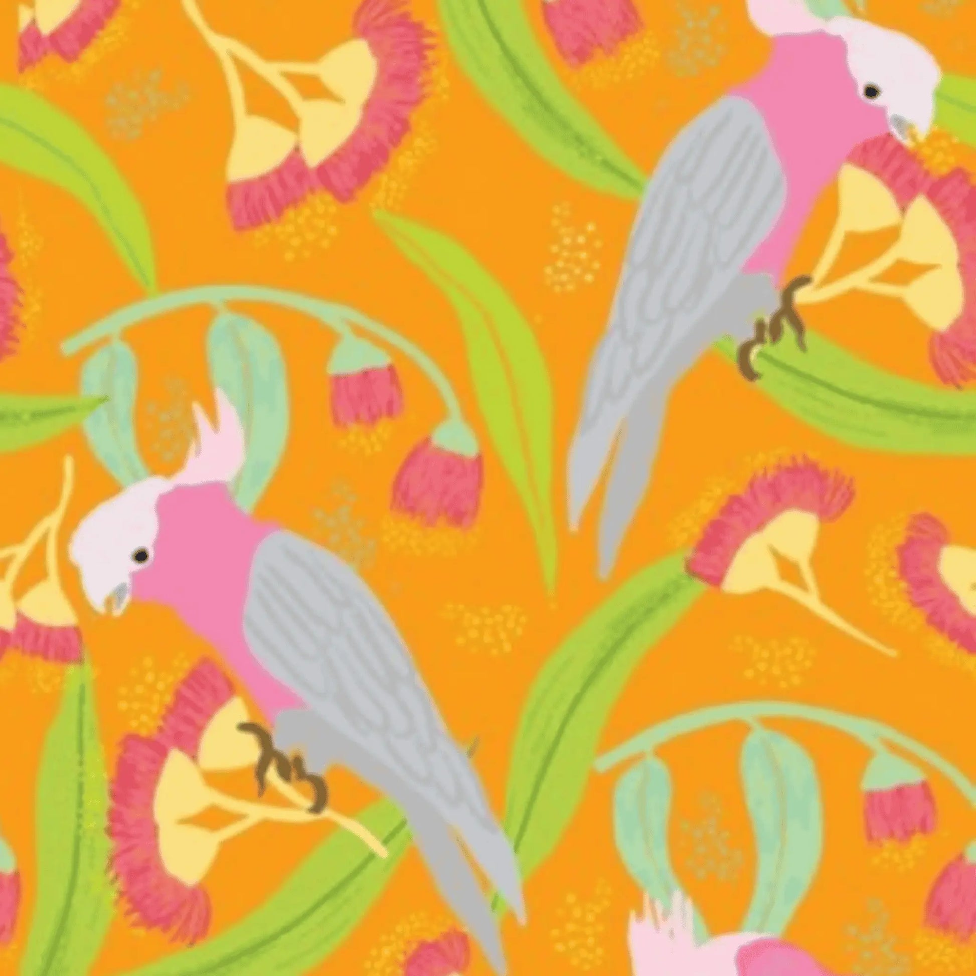 Wild Australia Groovy Galahs Orange - Amanda Joy Designs KK Fabrics - Three Wishes Patchwork Fabric