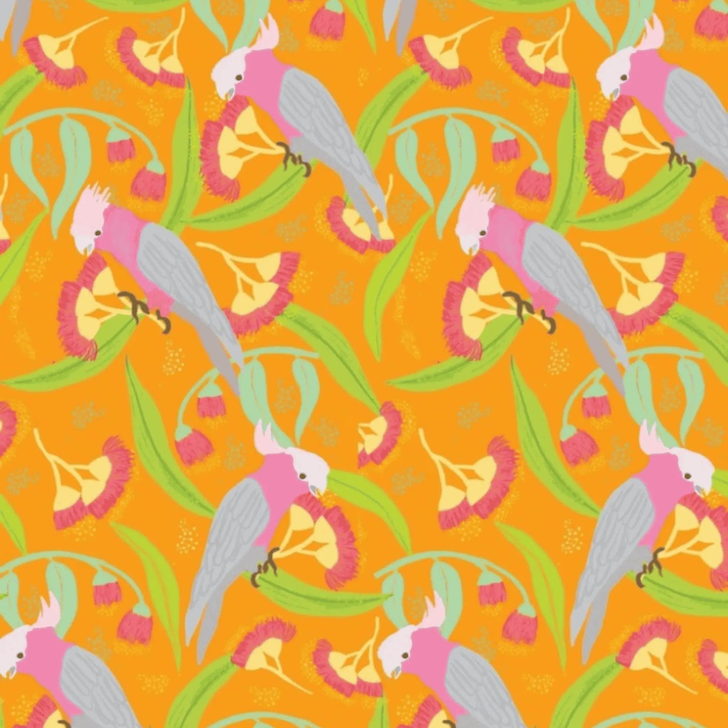 Wild Australia Groovy Galahs Orange - Amanda Joy Designs KK Fabrics - Three Wishes Patchwork Fabric