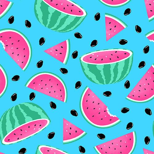 Pool Party Watermelons Aqua/Pink by Diana Mancini for Blank Quilting
