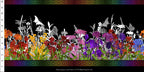 Rainbow Of Jewels: Border (Black/Multi)