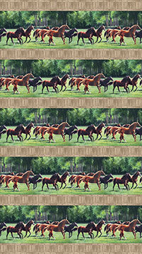 Pleasant Pastures: Digital Border Stripe Horses