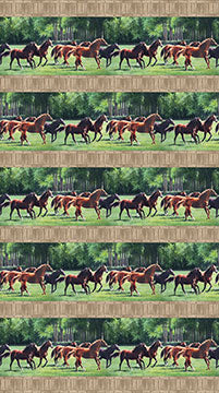 Pleasant Pastures Digital Border Stripe Horses by Caroline Cook for Northcott