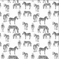 Black & Whites: Zebras on White Allover