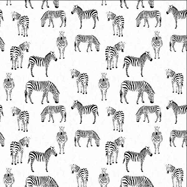 Black & Whites: Zebras on White Allover